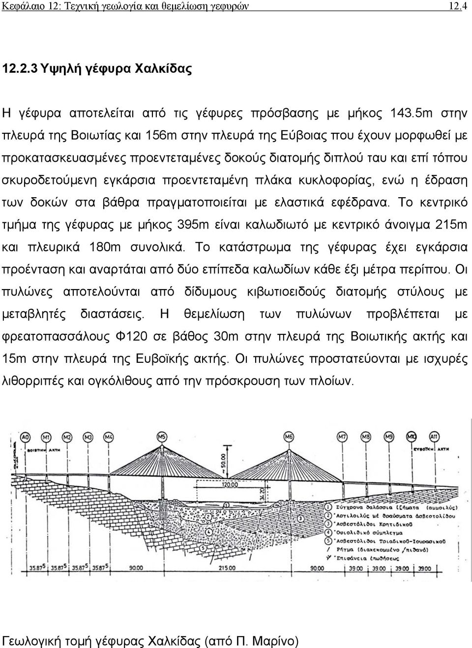 πλάκα κυκλοφορίας, ενώ η έδραση των δοκών στα βάθρα πραγµατοποιείται µε ελαστικά εφέδρανα.