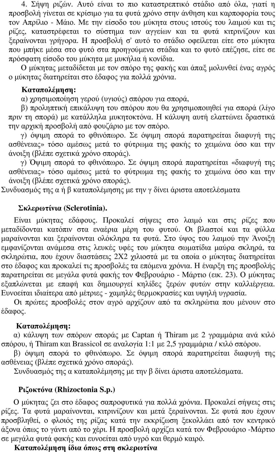 Η προσβολή σ' αυτό το στάδιο οφείλεται είτε στο µύκητα που µπήκε µέσα στο φυτό στα προηγούµενα στάδια και το φυτό επέζησε, είτε σε πρόσφατη είσοδο του µύκητα µε µυκήλια ή κονίδια.