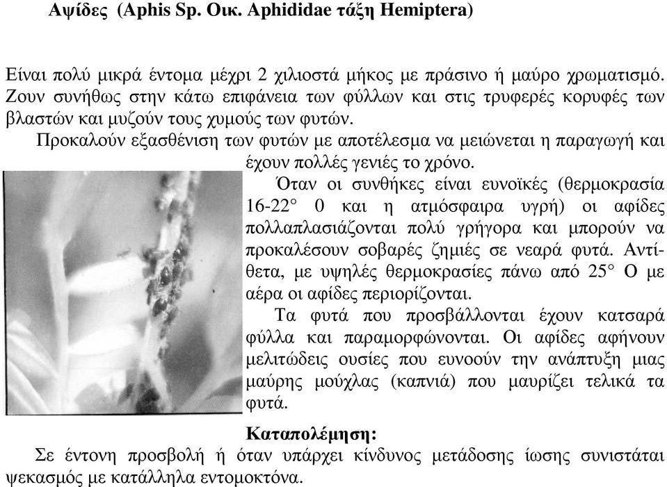 Προκαλούν εξασθένιση των φυτών µε αποτέλεσµα να µειώνεται η παραγωγή και έχουν πολλές γενιές το χρόνο.