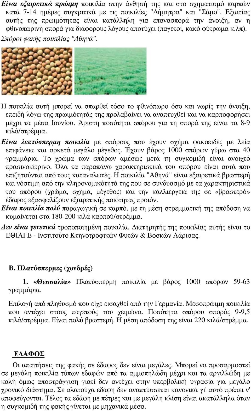 Η ποικιλία αυτή µπορεί να σπαρθεί τόσο το φθινόπωρο όσο και νωρίς την άνοιξη, επειδή λόγω της πρωιµότητάς της προλαβαίνει να αναπτυχθεί και να καρποφορήσει µέχρι τα µέσα Ιουνίου.