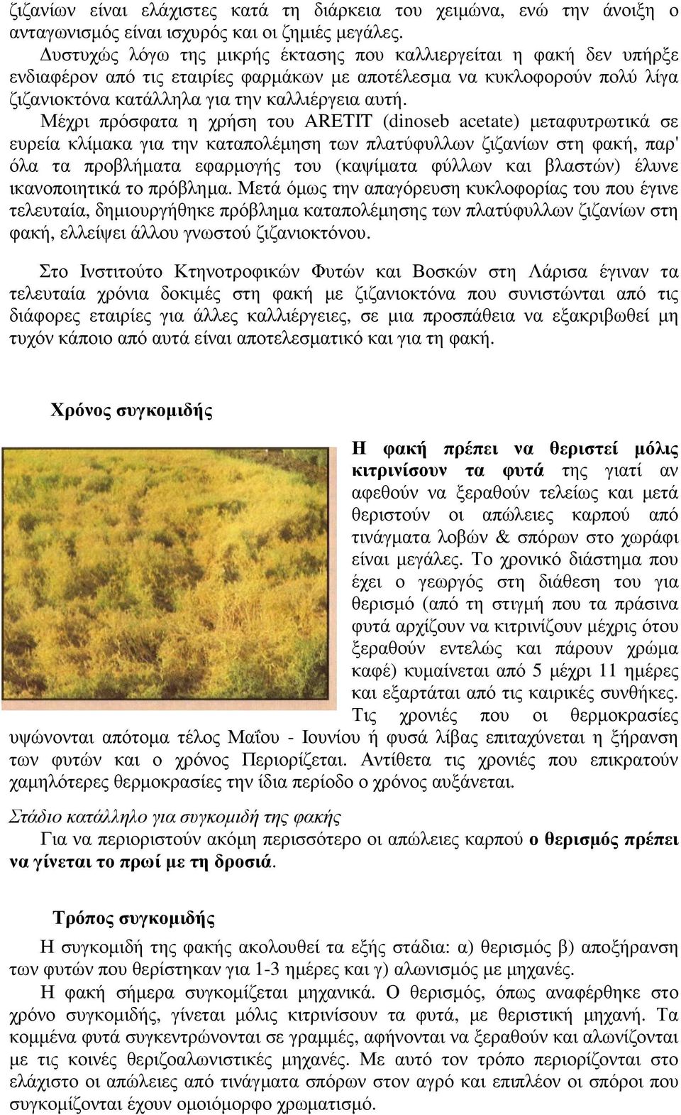 Μέχρι πρόσφατα η χρήση του ARETIT (dinoseb acetate) µεταφυτρωτικά σε ευρεία κλίµακα για την καταπολέµηση των πλατύφυλλων ζιζανίων στη φακή, παρ' όλα τα προβλήµατα εφαρµογής του (καψίµατα φύλλων και