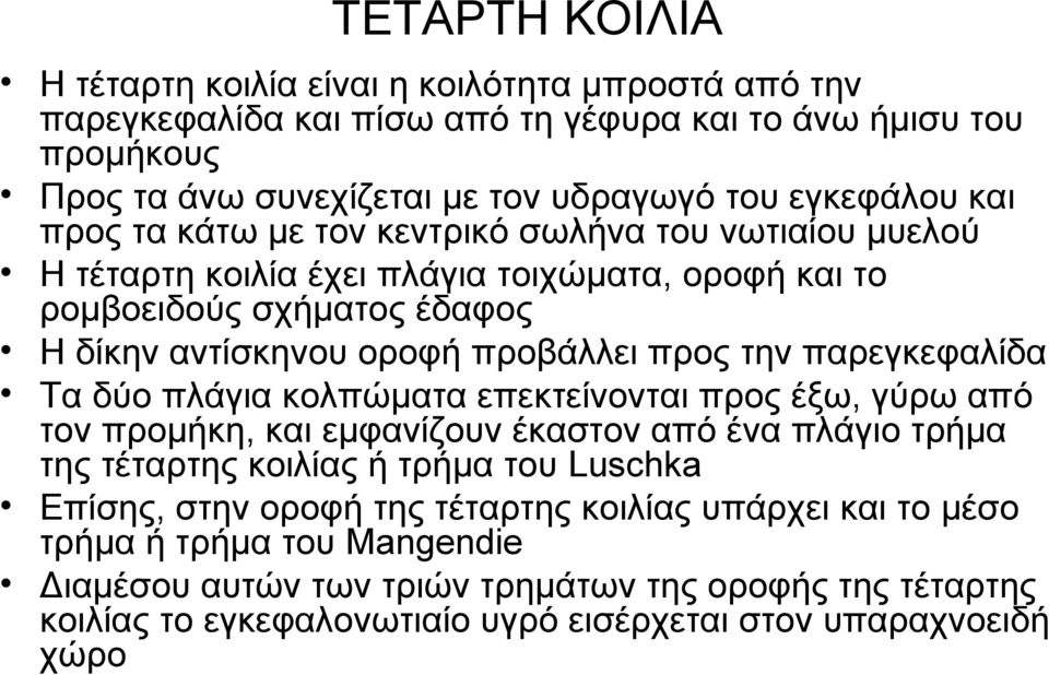 παρεγκεφαλίδα Τα δύο πλάγια κολπώματα επεκτείνονται προς έξω, γύρω από τον προμήκη, και εμφανίζουν έκαστον από ένα πλάγιο τρήμα της τέταρτης κοιλίας ή τρήμα του Luschka Επίσης, στην οροφή