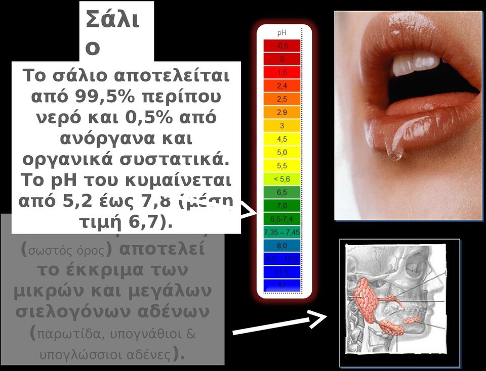 Το ph του κυμαίνεται από 5,2 έως 7,8 (μέση τιμή 6,7).