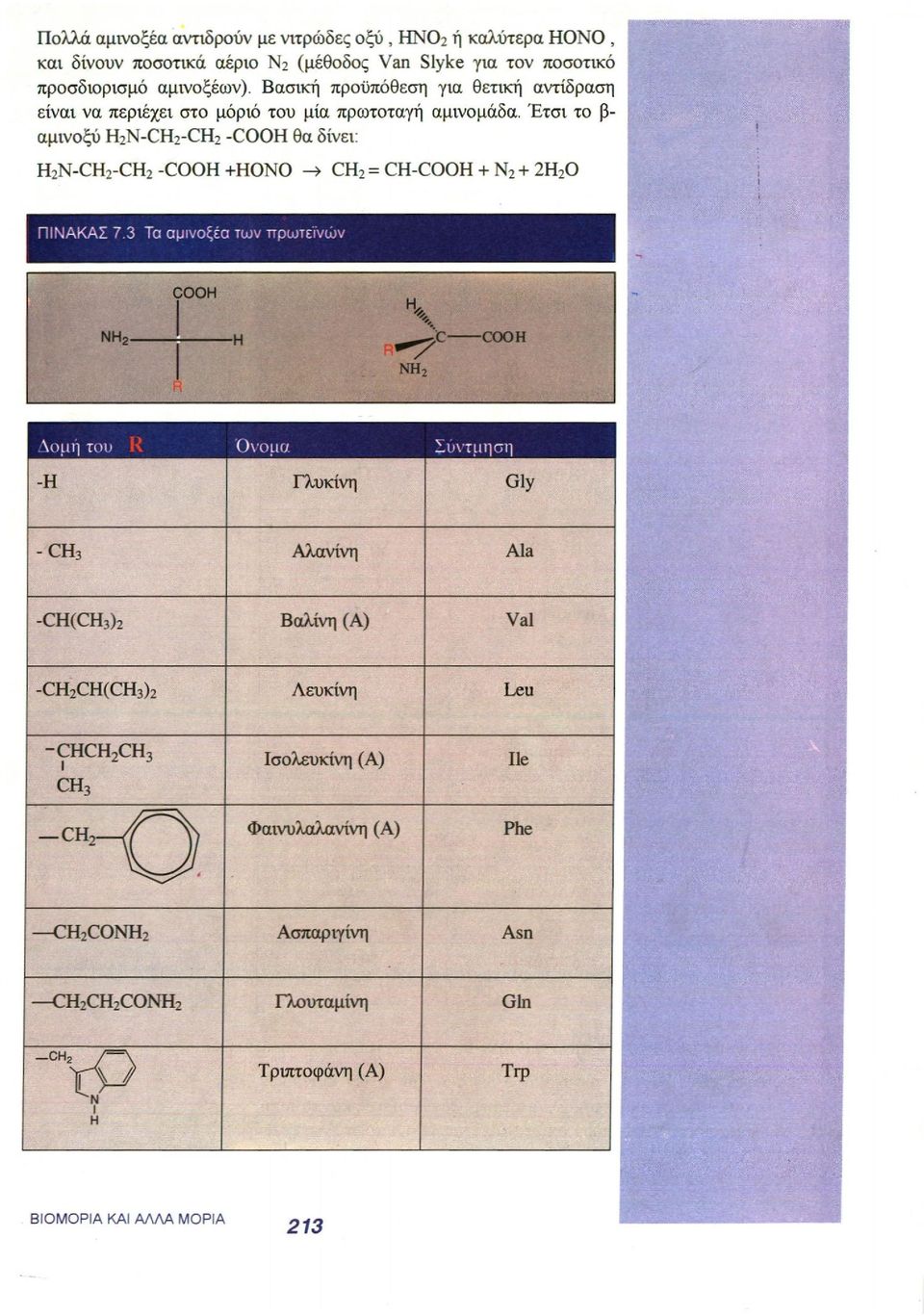 Έτσι το β- αμινοξύ H 2 N-CH 2 -CH 2 -COOH θα δίνει: ΠΙΝΑΚΑΣ 7.