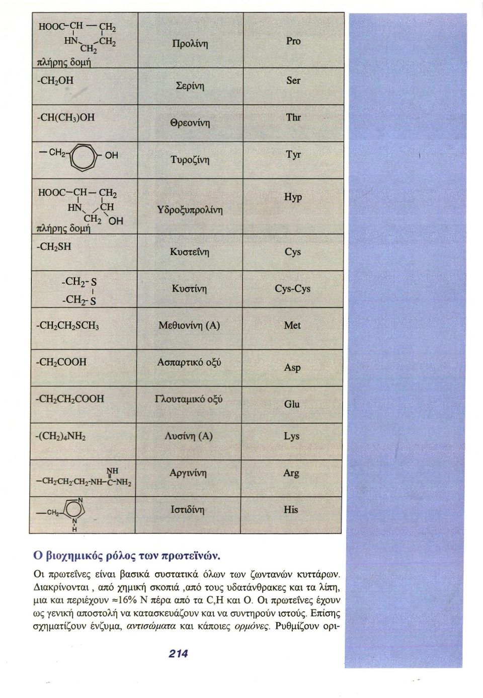 Ov πρωτεΐνες είναι βασικά συστατικά όλων των ζωντανών κυττάρων.