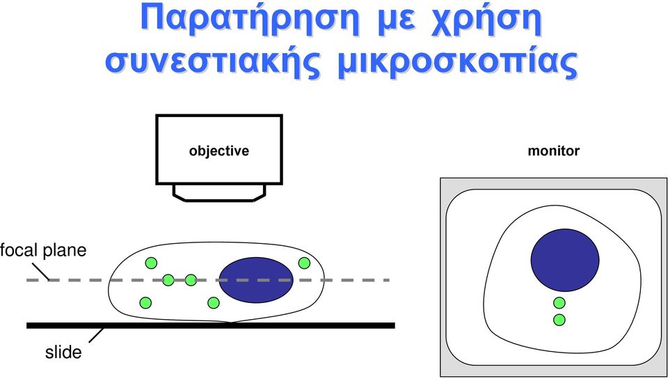 μικροσκοπίας