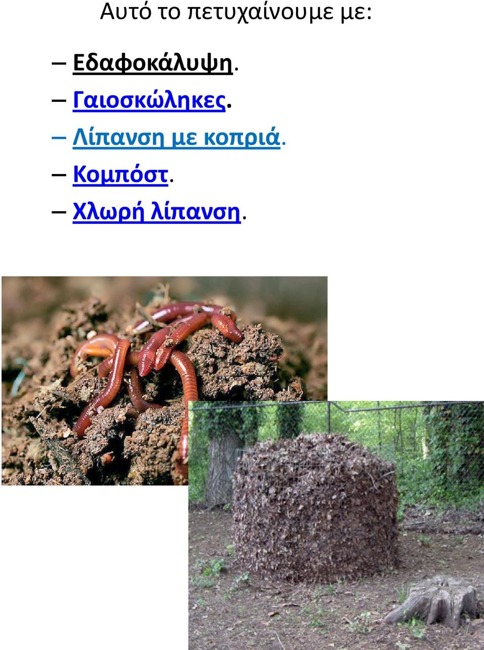 Γαιοσκώληκες.