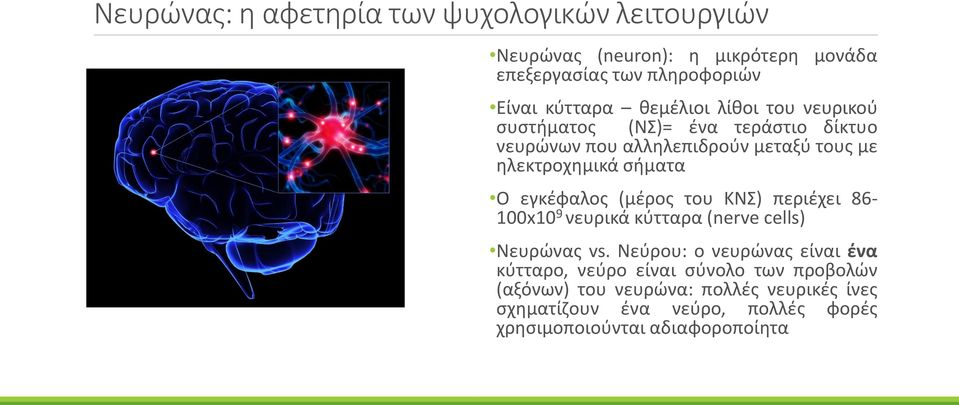 εγκέφαλος (μέρος του ΚΝΣ) περιέχει 86-100x10 9 νευρικά κύτταρα (nerve cells) Νευρώνας vs.