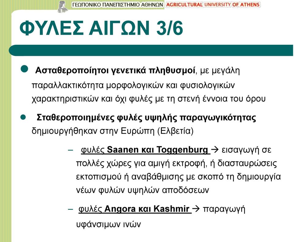 δημιουργήθηκαν στην Ευρώπη (Ελβετία) φυλές Saanen και Toggenburg εισαγωγή σε πολλές χώρες για αμιγή εκτροφή, ή