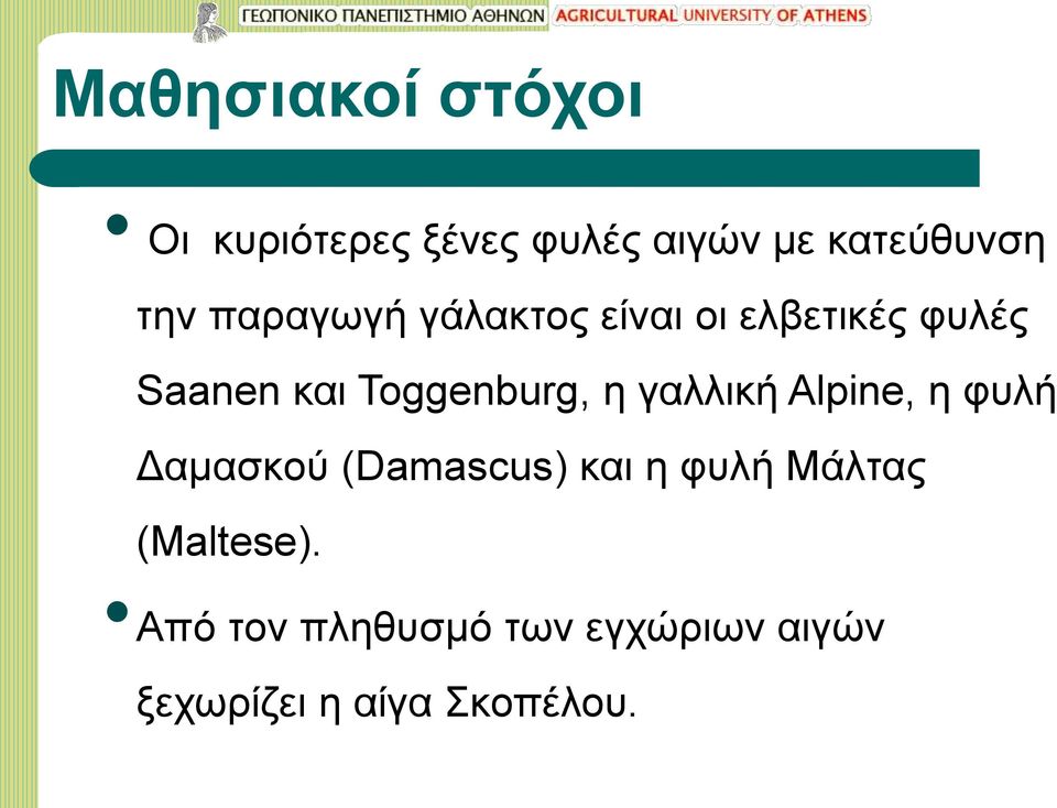 γαλλική Alpine, η φυλή Δαμασκού (Damascus) και η φυλή Μάλτας