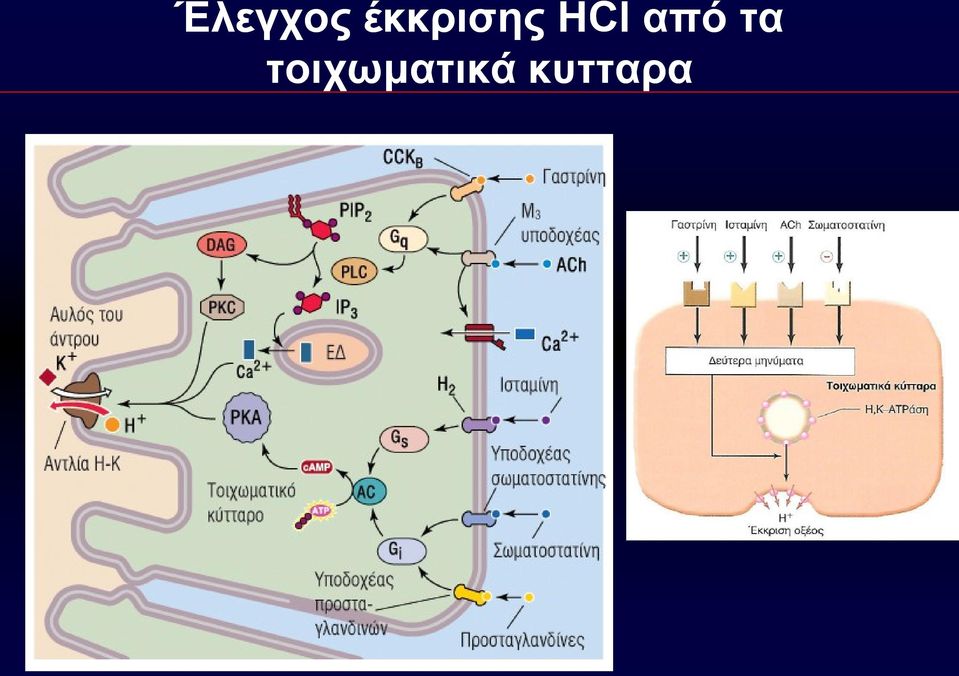 HCl από τα