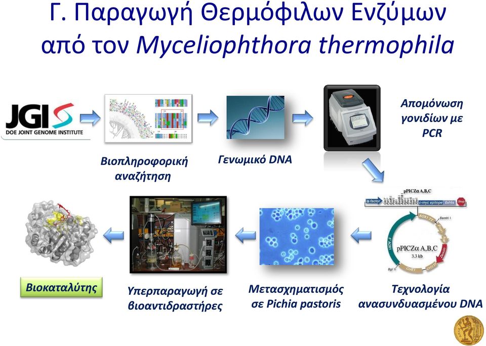 αναζήτηση Γενωμικό DNA Βιοκαταλύτης Υπερπαραγωγή σε