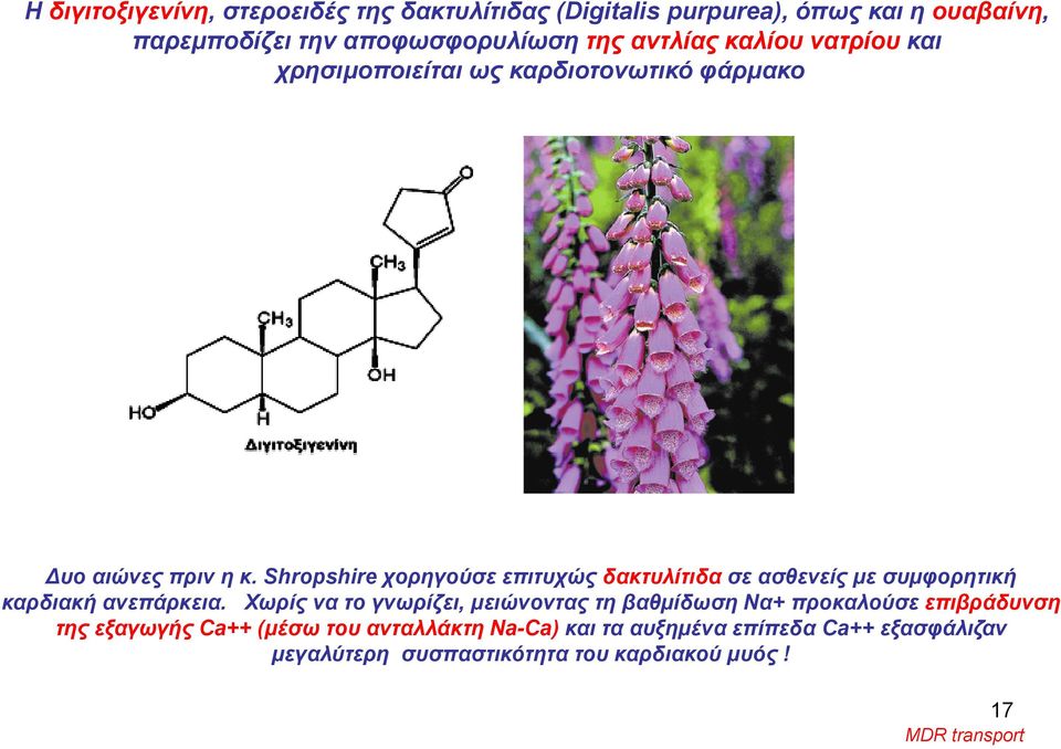 Shropshire χορηγούσε επιτυχώς δακτυλίτιδα σε ασθενείς με συμφορητική καρδιακή ανεπάρκεια.