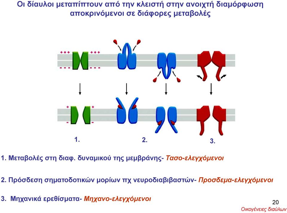 δυναμικού της μεμβράνης-μβρ Τασο-ελεγχόμενοι 2.