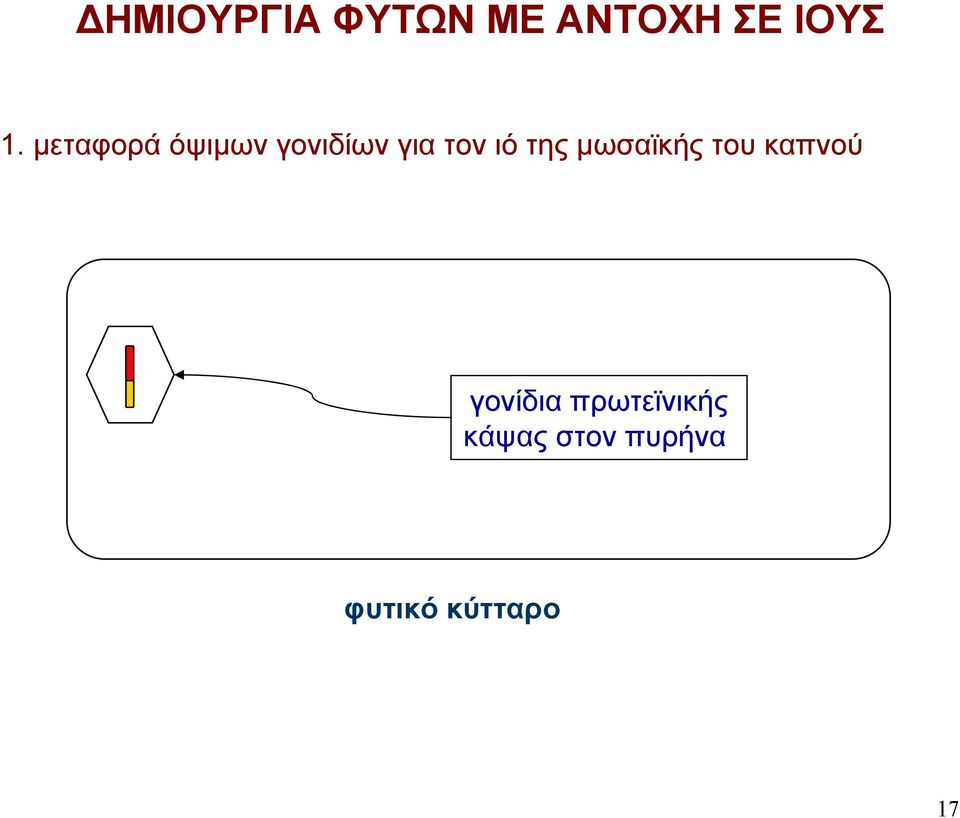 της μωσαϊκής του καπνού γονίδια