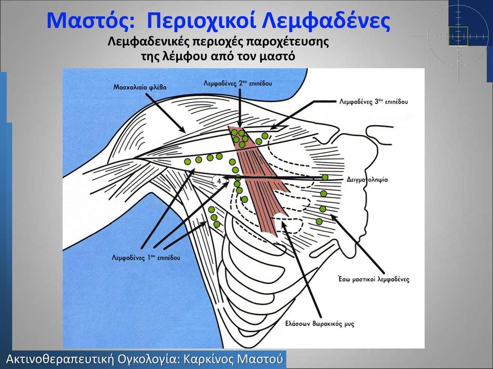 Λεμφαδενικές περιοχές