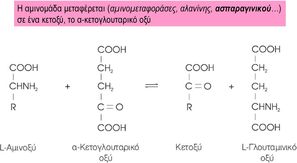 αλανίνης, ασπαραγινικού )