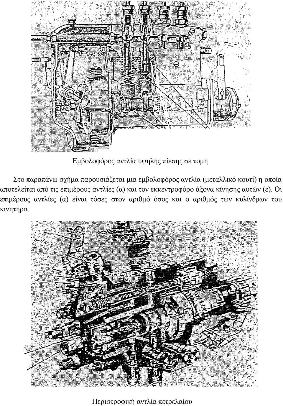 (α) και τον εκκεντροφόρο άξονα κίνησης αυτών (ε).