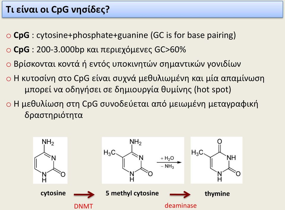 CpG είναι συχνά μεθυλιωμένη και μία απαμίνωση μπορεί να οδηγήσει σε δημιουργία θυμίνης (hot spot) o Η