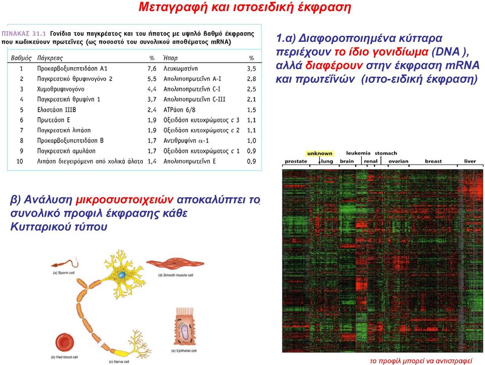 διαφέρουν στην έκφραση mrna και πρωτεΐνών (ιστο-ειδική έκφραση) β)