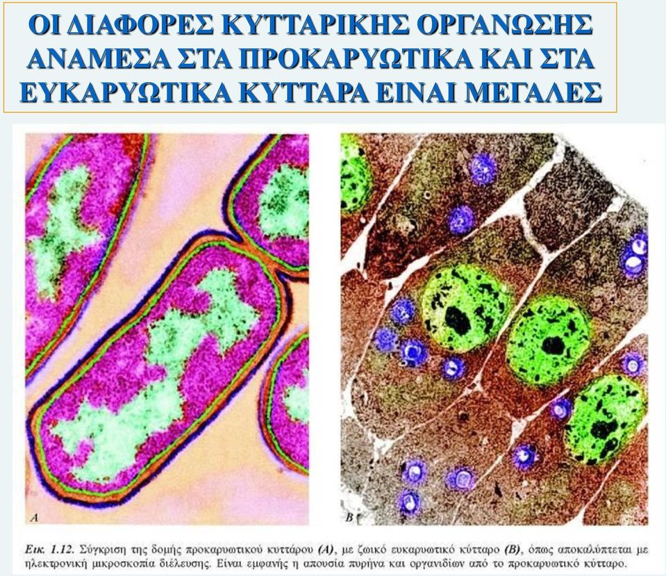 ΠΡΟΚΑΡΥΩΤΙΚΑ ΚΑΙ ΣΤΑ