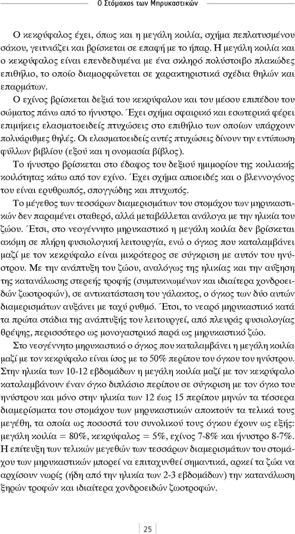 Ο εχίνος βρίσκεται δεξιά του κεκρύφαλου και του μέσου επιπέδου του σώματος πάνω από το ήνυστρο.