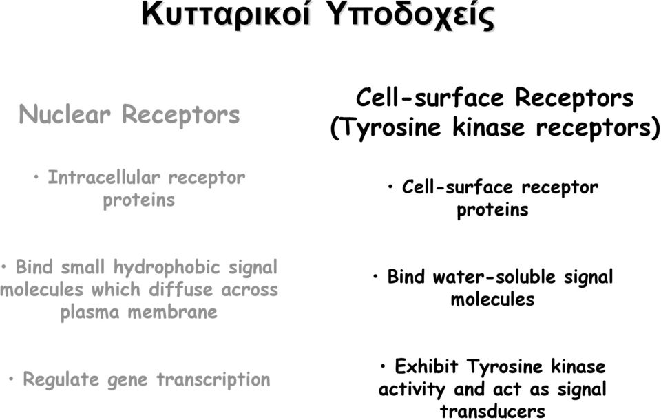 hydrophobic signal molecules which diffuse across plasma membrane Bind water-soluble