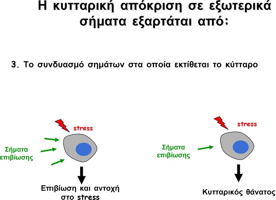 Το συνδυασμό σημάτων στα οποία εκτίθεται το κύτταρο