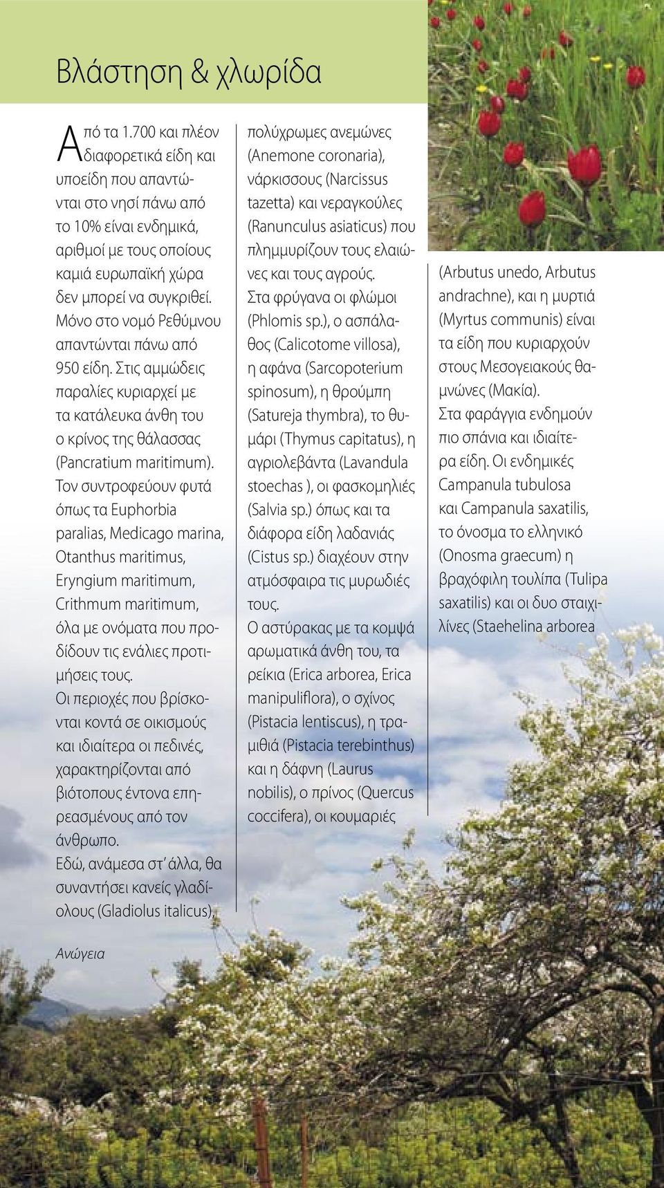 Τον συντροφεύουν φυτά όπως τα Euphorbia paralias, Medicago marina, Otanthus maritimus, Eryngium maritimum, Crithmum maritimum, όλα με ονόματα που προδίδουν τις ενάλιες προτιμήσεις τους.