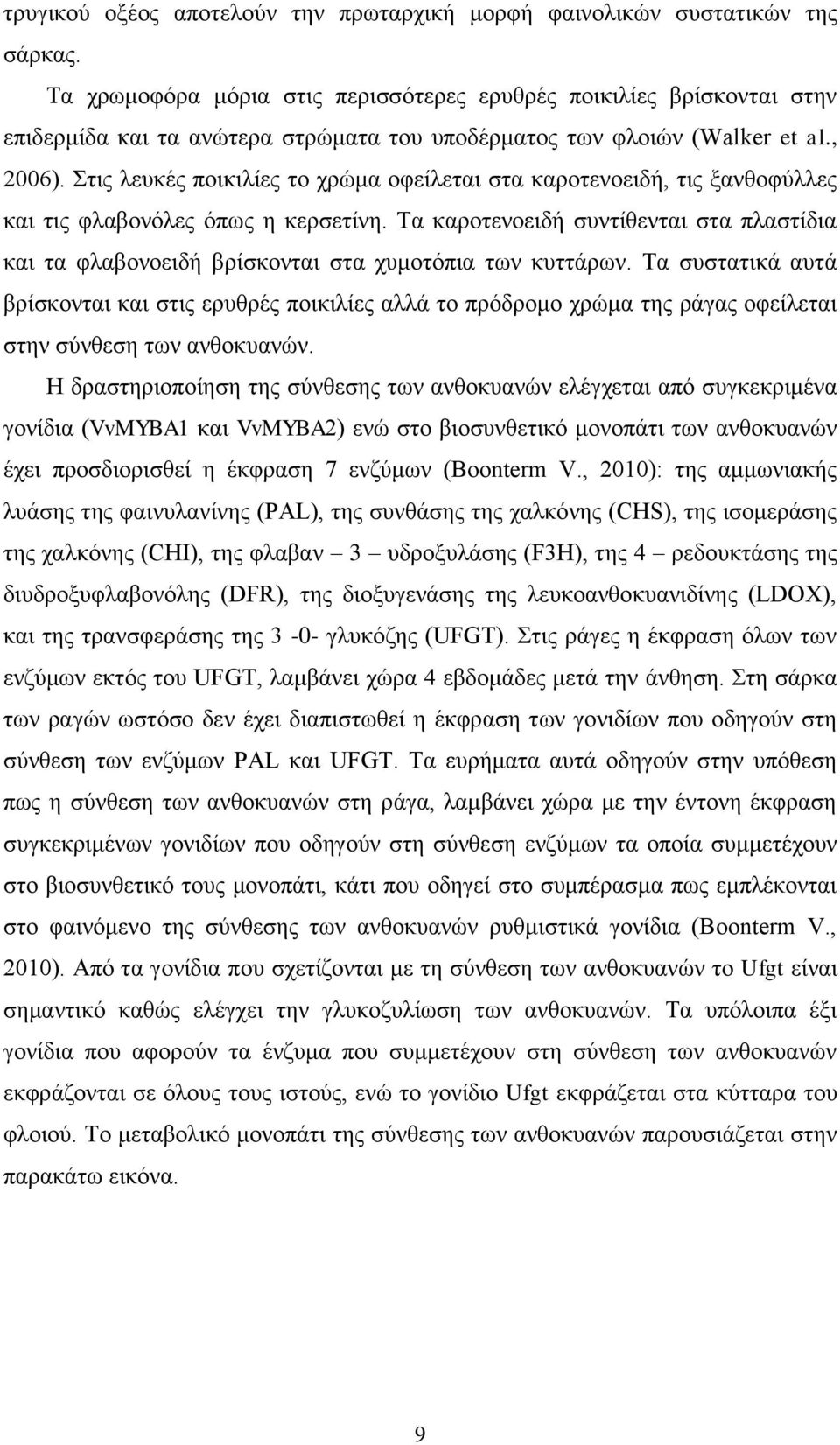 Στις λευκές ποικιλίες το χρώμα οφείλεται στα καροτενοειδή, τις ξανθοφύλλες και τις φλαβονόλες όπως η κερσετίνη.