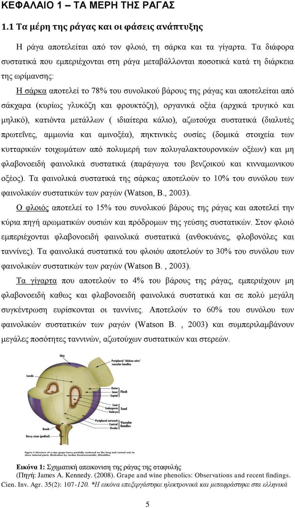γλυκόζη και φρουκτόζη), οργανικά οξέα (αρχικά τρυγικό και μηλικό), κατιόντα μετάλλων ( ιδιαίτερα κάλιο), αζωτούχα συστατικά (διαλυτές πρωτεΐνες, αμμωνία και αμινοξέα), πηκτινικές ουσίες (δομικά