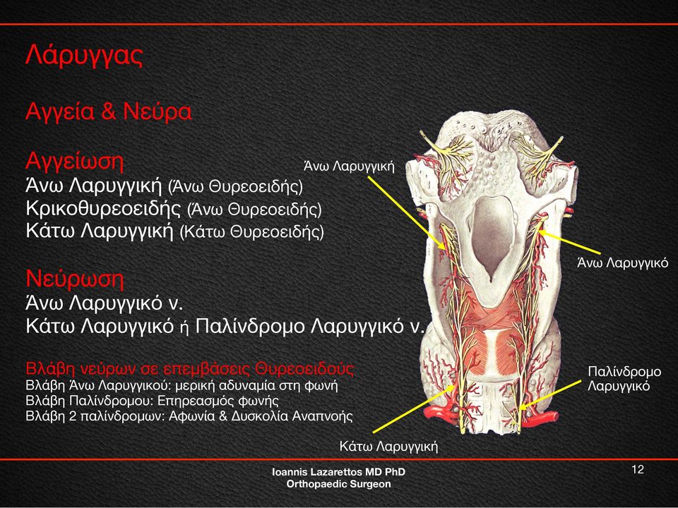 Κάτω Λαρυγγικό ή Παλίνδρομο Λαρυγγικό ν.