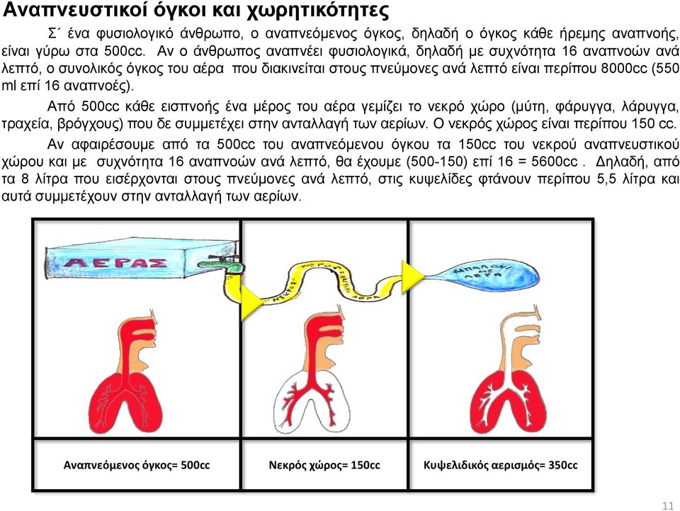 Από 500cc κάθε εισπνοής ένα μέρος του αέρα γεμίζει το νεκρό χώρο (μύτη, φάρυγγα, λάρυγγα, τραχεία, βρόγχους) που δε συμμετέχει στην ανταλλαγή των αερίων. Ο νεκρός χώρος είναι περίπου 150 cc.