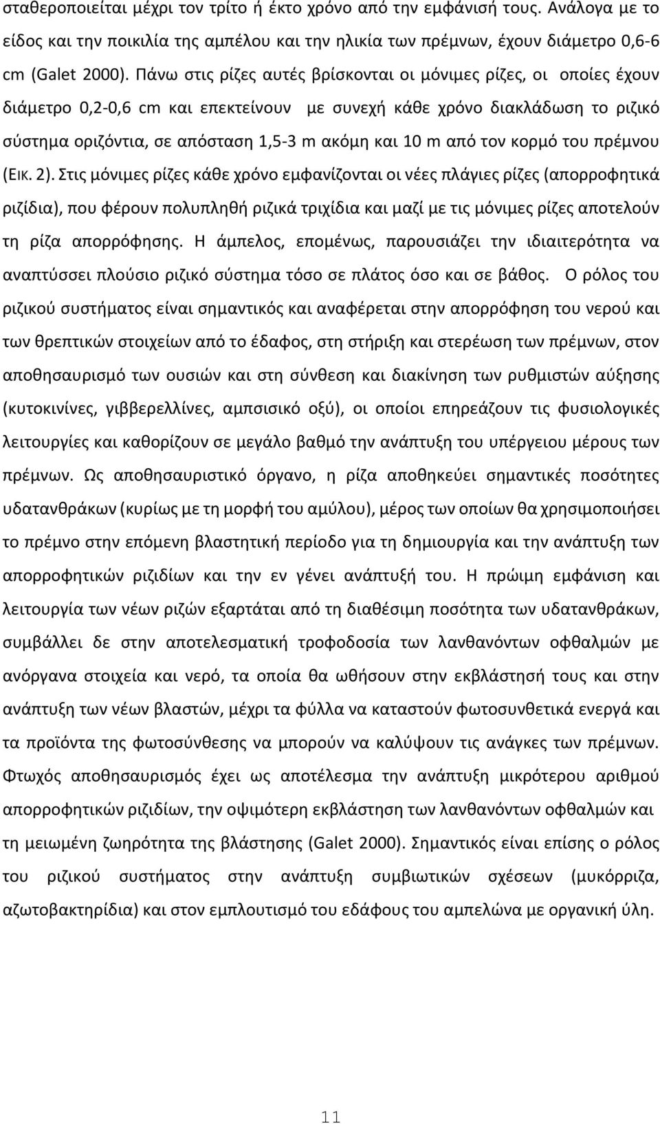 από τον κορμό του πρέμνου (ΕΙΚ. 2).