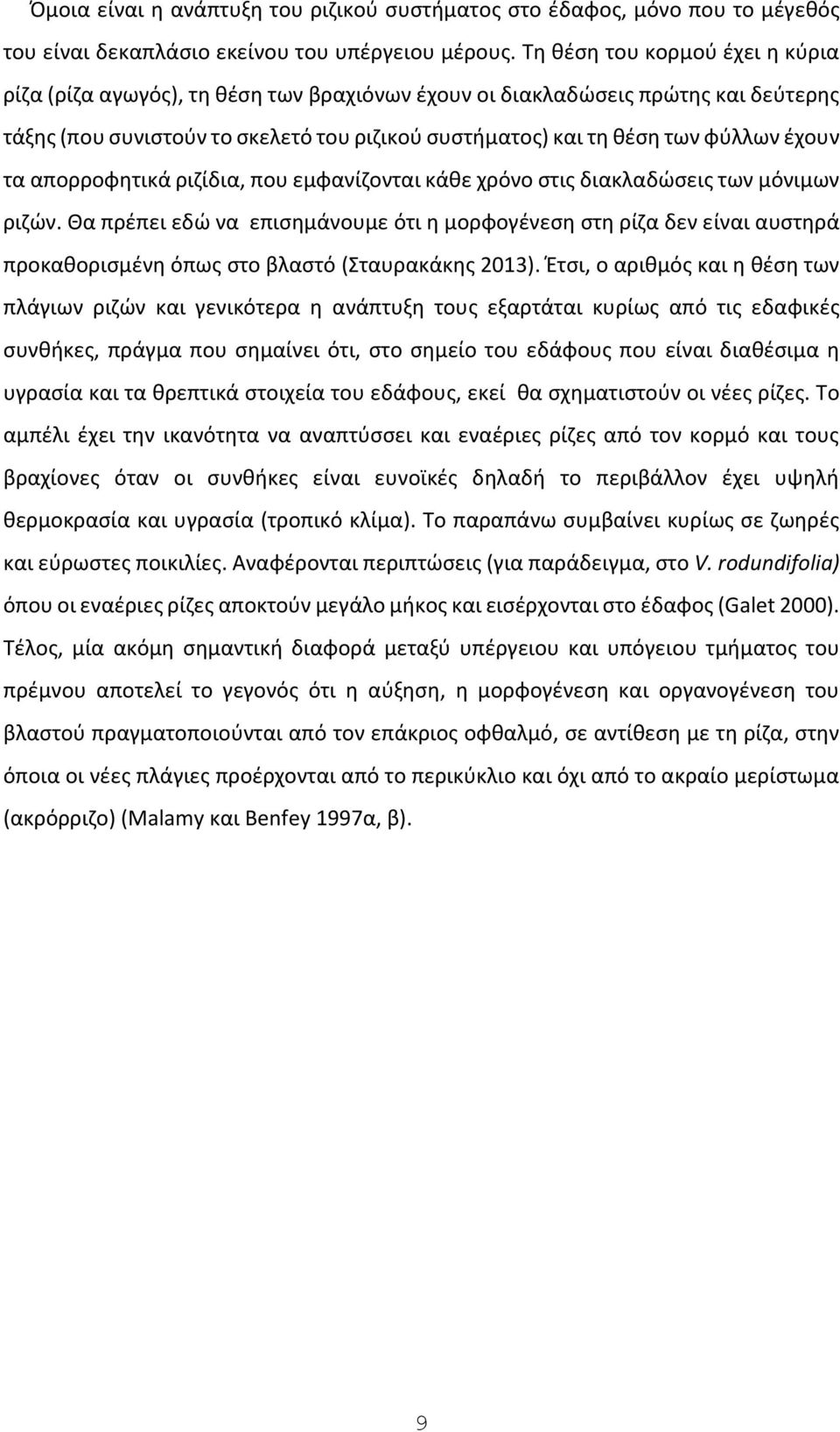 έχουν τα απορροφητικά ριζίδια, που εμφανίζονται κάθε χρόνο στις διακλαδώσεις των μόνιμων ριζών.