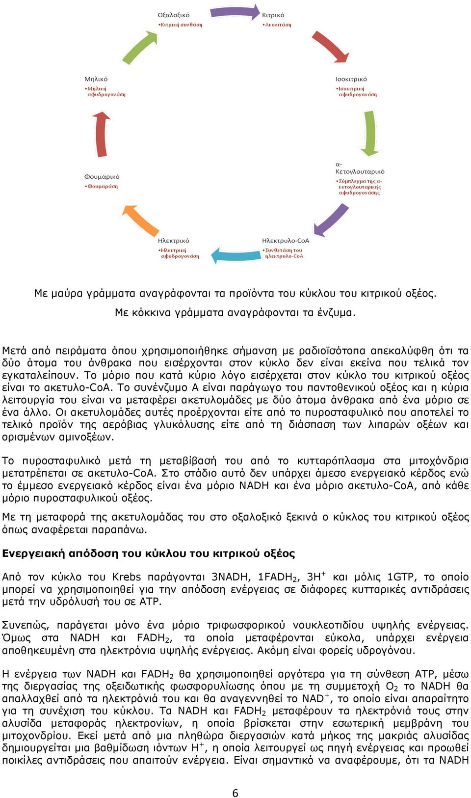 Το µόριο που κατά κύριο λόγο εισέρχεται στον κύκλο του κιτρικού οξέος είναι το ακετυλο-coa.