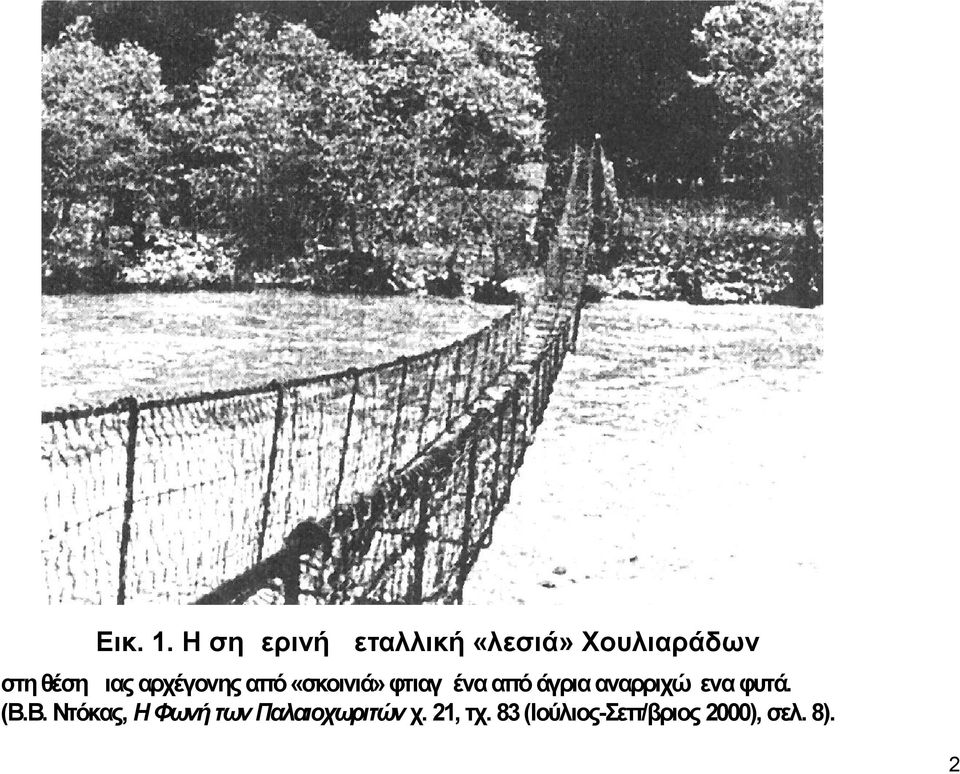 μιας αρχέγονης από «σκοινιά» φτιαγμένα από άγρια