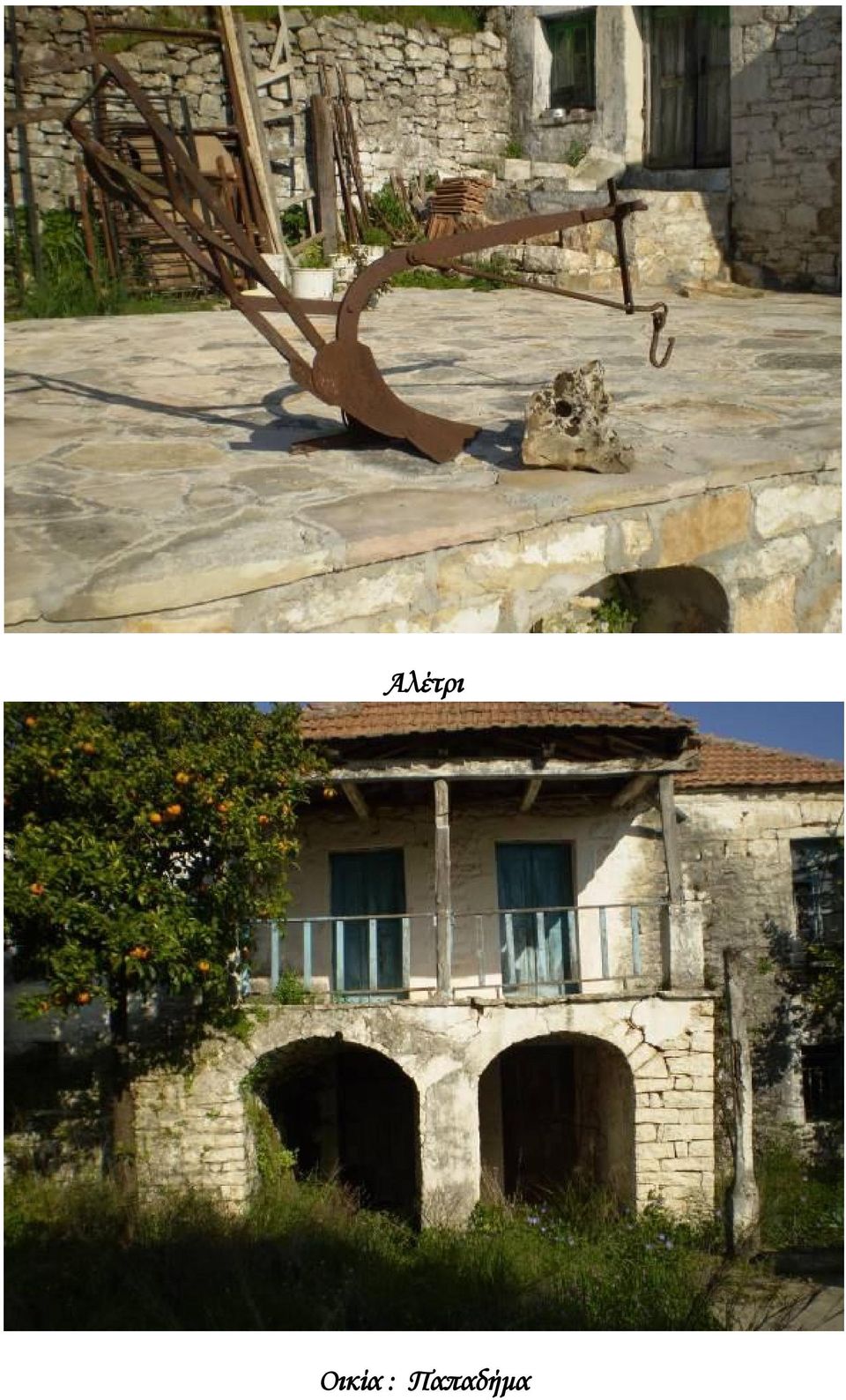 Παπαδήμα