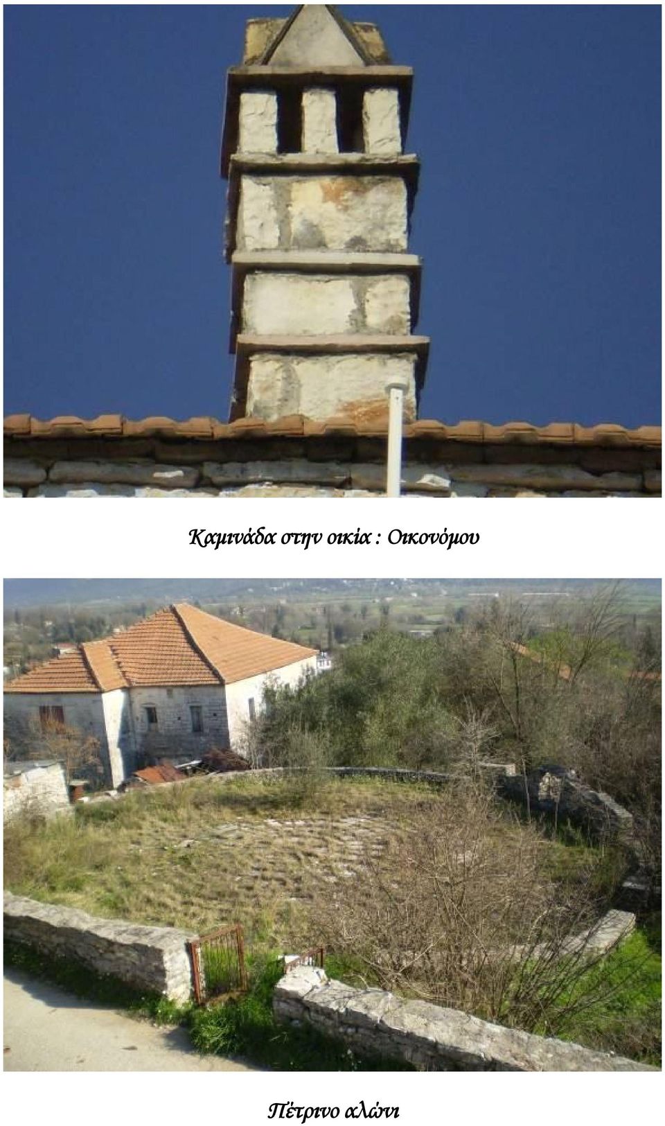 : Οικονόμου