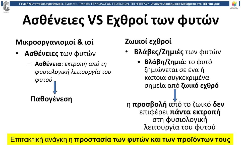 ζημιώνεται σε ένα ή κάποια συγκεκριμένα σημεία από ζωικό εχθρό η προσβολή από το ζωικό δεν επιφέρει