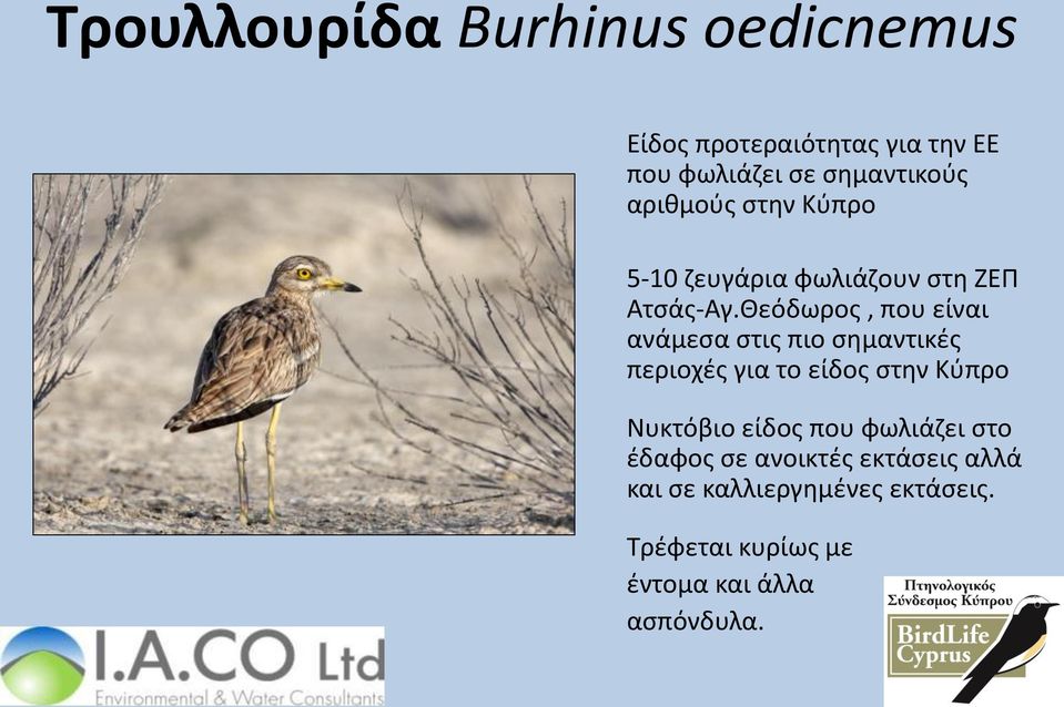 Θεόδωρος, που είναι ανάμεσα στις πιο σημαντικές περιοχές για το είδος στην Κύπρο Νυκτόβιο