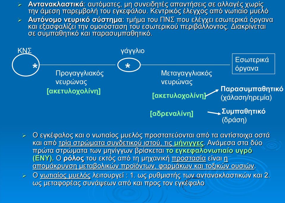 Διακρίνεται σε συμπαθητικό και παρασυμπαθητικό.