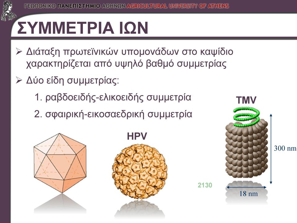 είδη συμμετρίας: 1. ραβδοειδής-ελικοειδής συμμετρία 2.