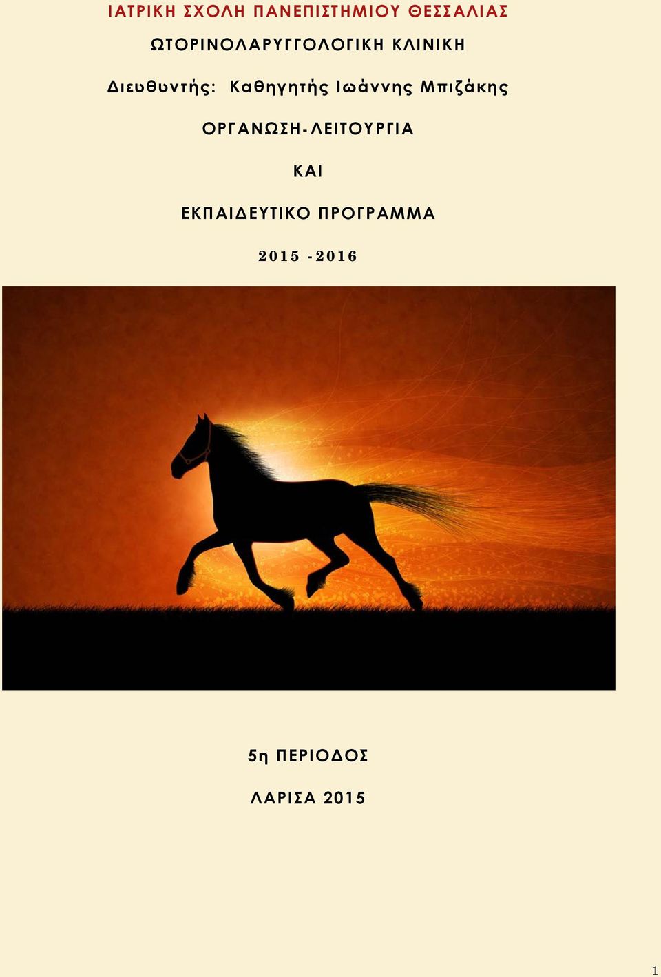 Καθηγητής Ιωάννης Μπιζάκης ΟΡΓΑΝΩΣΗ-ΛΕΙΤΟΥΡΓΙΑ