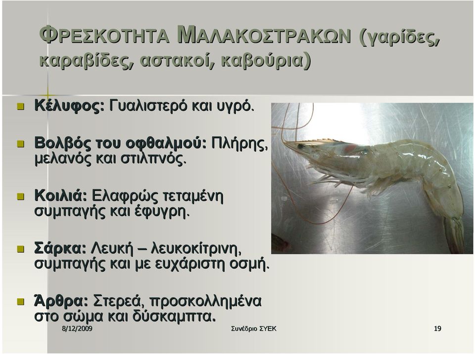Κοιλιά: Ελαφρώς τεταμένη συμπαγής και έφυγρη.