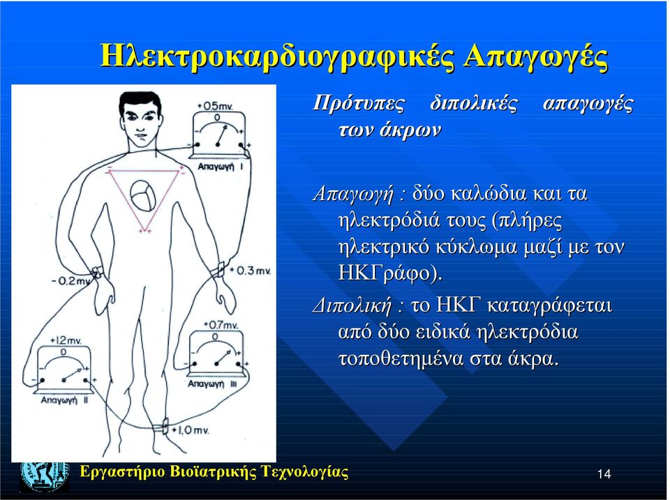 (πλήρες ηλεκτρικό κύκλωμα μαζί με τον ΗΚΓράφο).