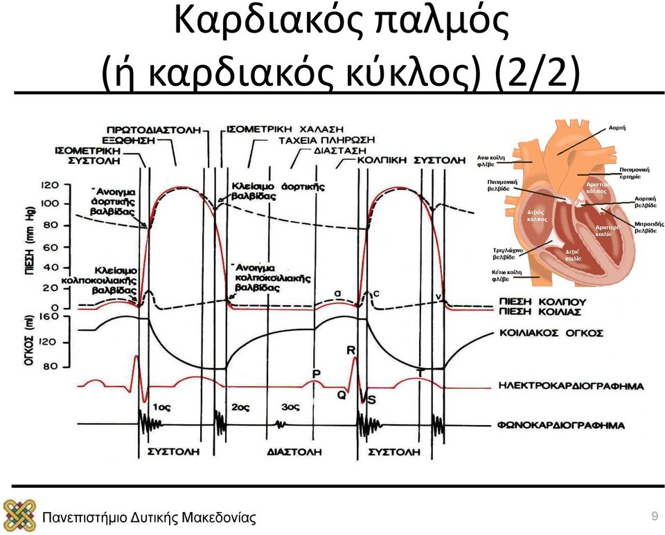 καρδιακός