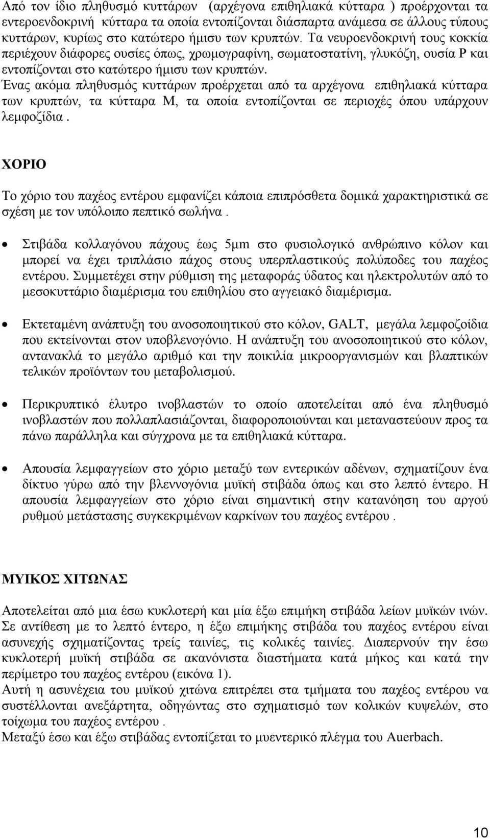 Ένας ακόμα πληθυσμός κυττάρων προέρχεται από τα αρχέγονα επιθηλιακά κύτταρα των κρυπτών, τα κύτταρα Μ, τα οποία εντοπίζονται σε περιοχές όπου υπάρχουν λεμφοζίδια.