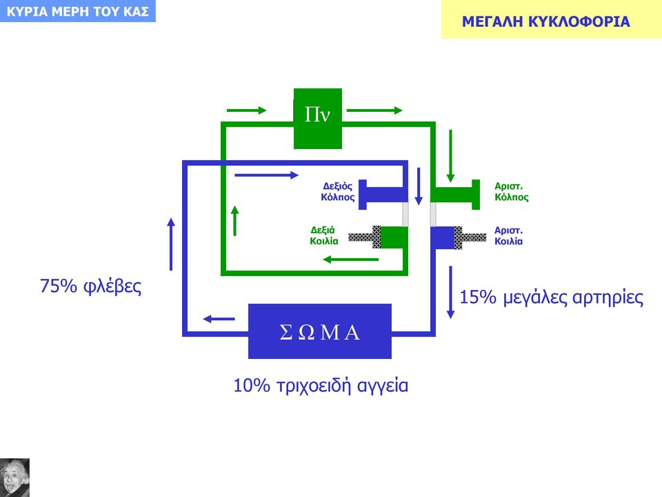 Κόλπος Δεξιά Κοιλία Αριστ.