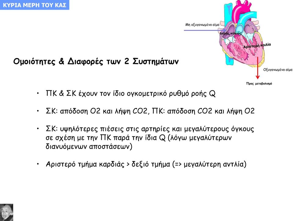 υψηλότερες πιέσεις στις αρτηρίες και μεγαλύτερους όγκους σε σχέση με την ΠΚ παρά την ίδια